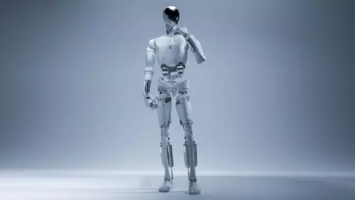 ربات