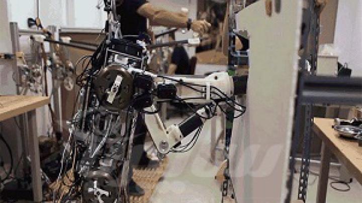 ربات