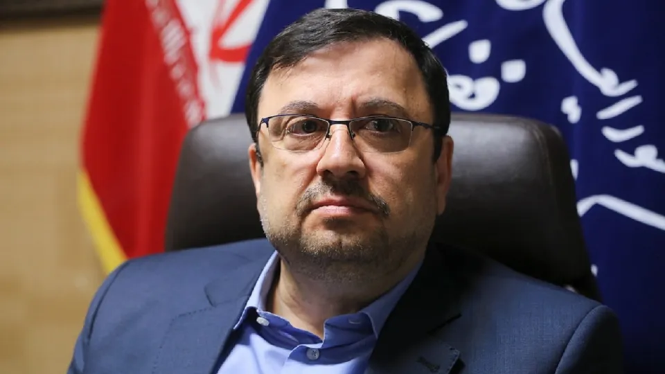 شبکه