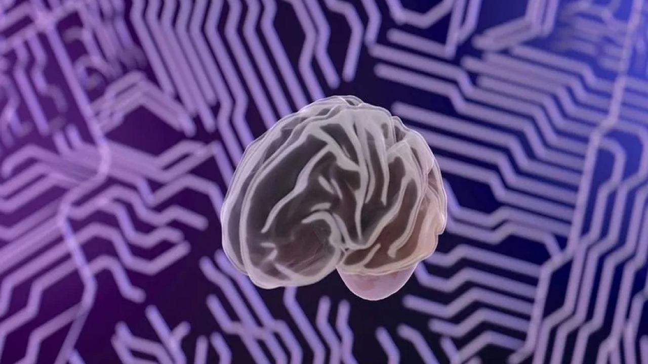نبرد
