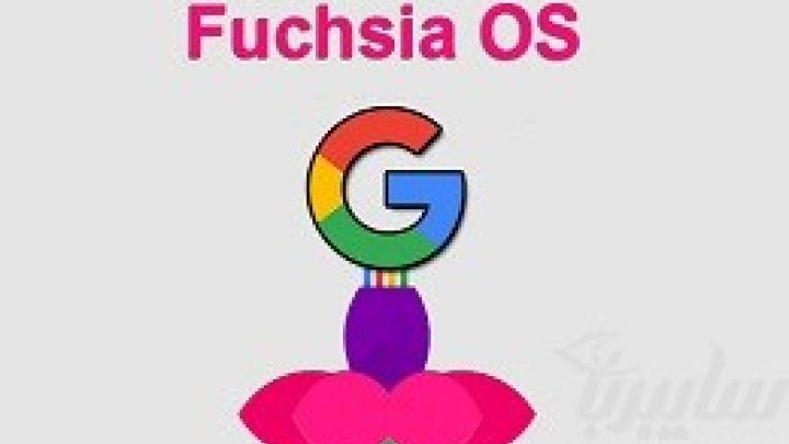Fuchsia؛