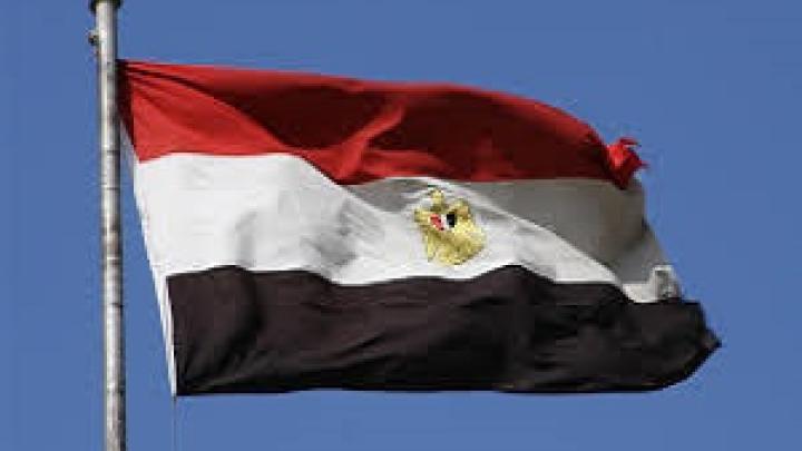 مانور