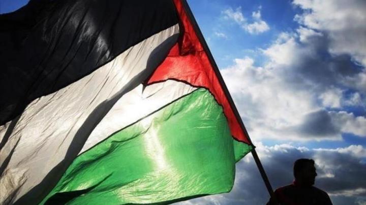فلسطین