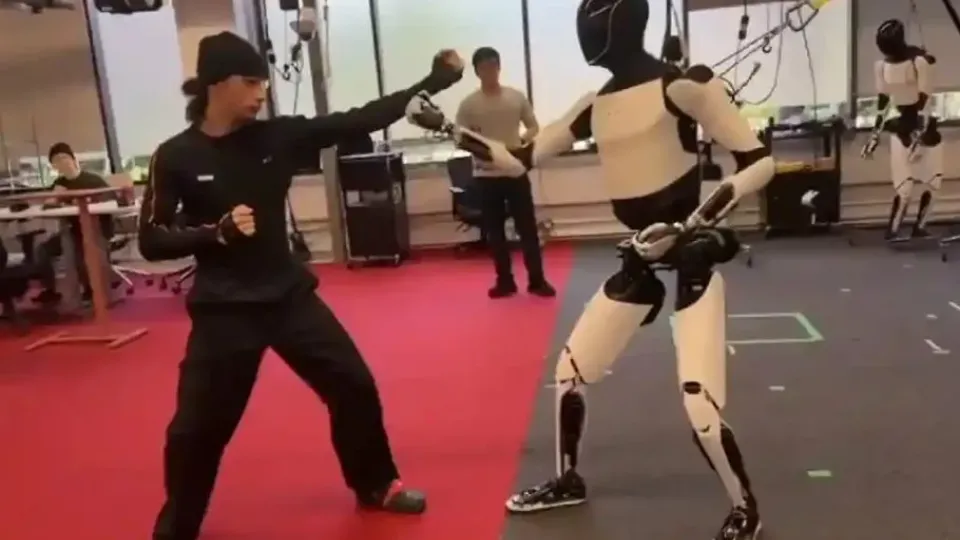 ربات